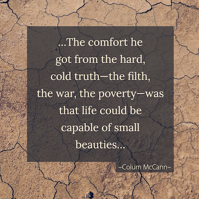 ...The comfort he got from the hard, cold truth---the filth, the war, the poverty---was that life could be capable of small beauties…